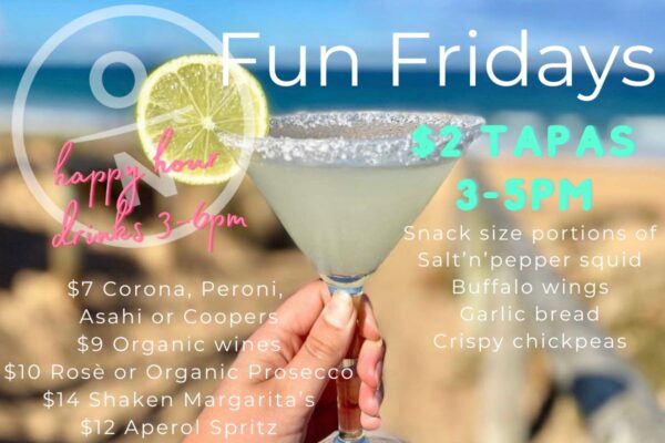 fun fridays website
